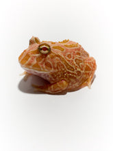 Load image into Gallery viewer, D93 Strawberry frog
