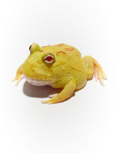 Load image into Gallery viewer, D90 Pikachu Albino
