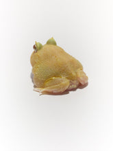 Load image into Gallery viewer, D15 Egg Yolk Albino (PERFECT)
