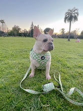 Load image into Gallery viewer, Green Wave Checker - Adjustable Pet Harness
