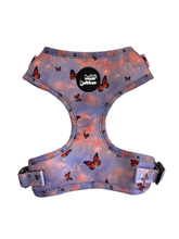 Load image into Gallery viewer, Sunset Butterfly - Adjustable Pet Harness
