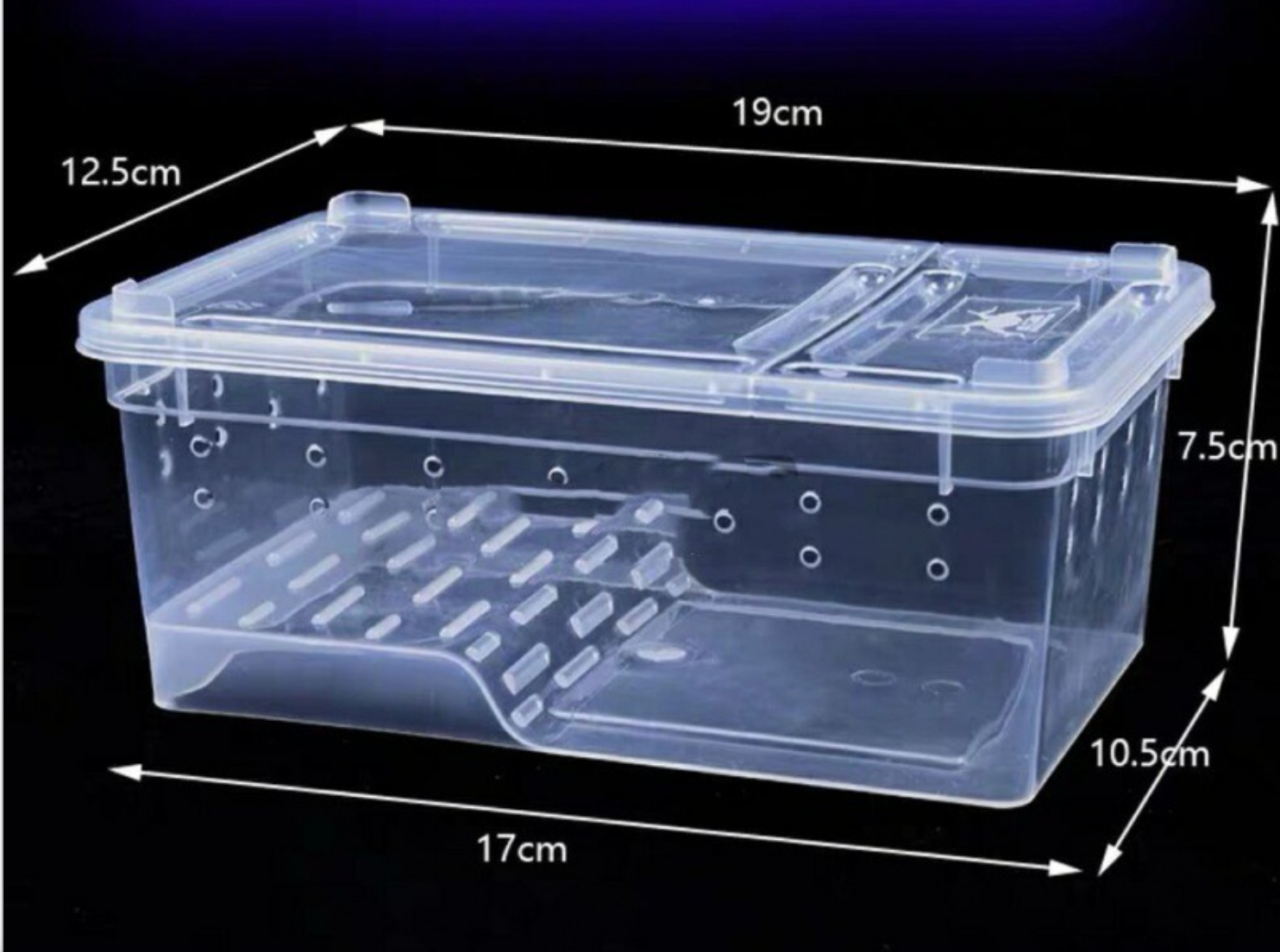 Z25 Reptile Plastic Ventilated Box (Various sizes XL, L, M, & S)
