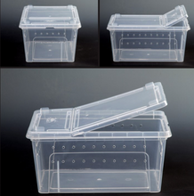 Load image into Gallery viewer, Z25 Reptile Plastic Ventilated Box (Various sizes XL, L, M, &amp; S) - JamJam Exotic
